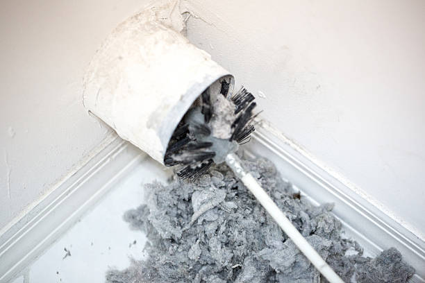 Best Duct Cleaning Specialists  in Whittier, CA